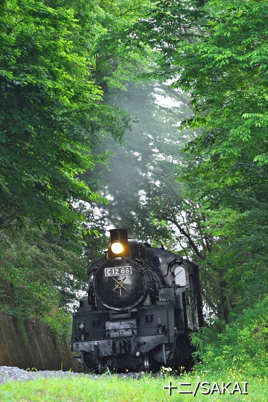 c1266